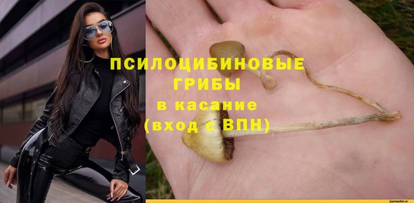 стафф Богданович
