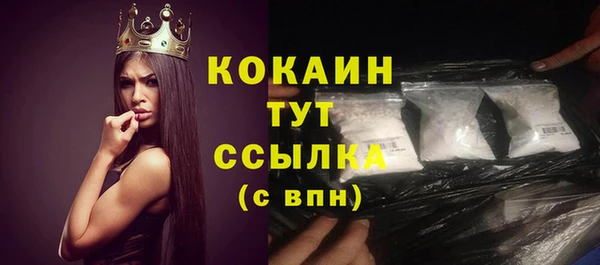 тгк Бронницы