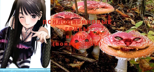 тгк Бронницы