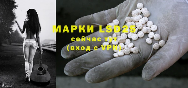 прущие грибы Богородицк