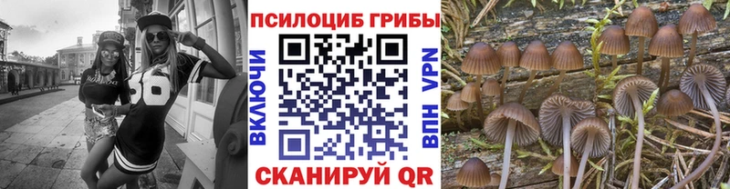 Псилоцибиновые грибы прущие грибы  Купить закладки  Приморск 